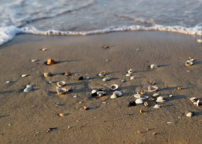 Three-bedroom Flat With Balcony In Daire Bibione